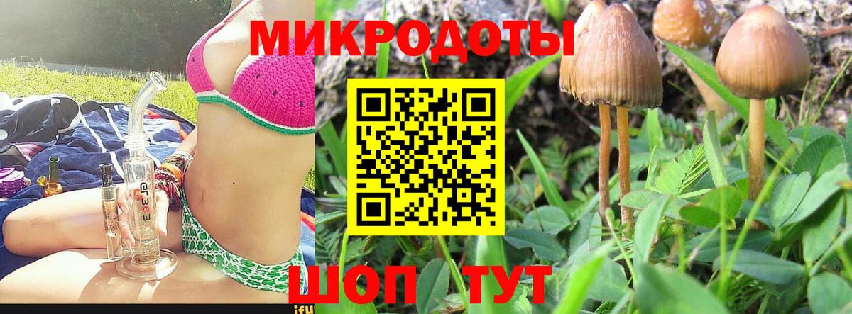 хочу   Псилоцибиновые грибы прущие грибы  Вход с VPN  Кувандык 